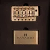 Stratocaster (Left-handed) Phosphor Bronze RG12 - Image 2